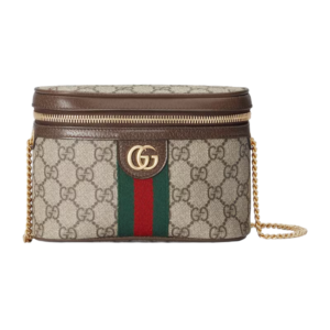 Gucci Ophidia belt bag with Web beige and ebony supreme Detail 2