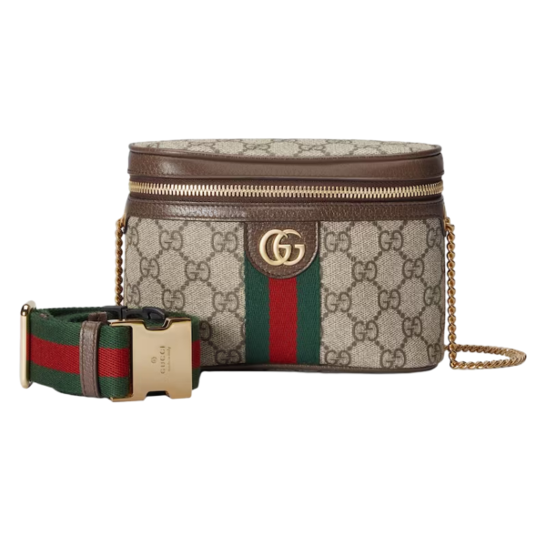 Gucci Ophidia belt bag with Web beige and ebony supreme Detail 6