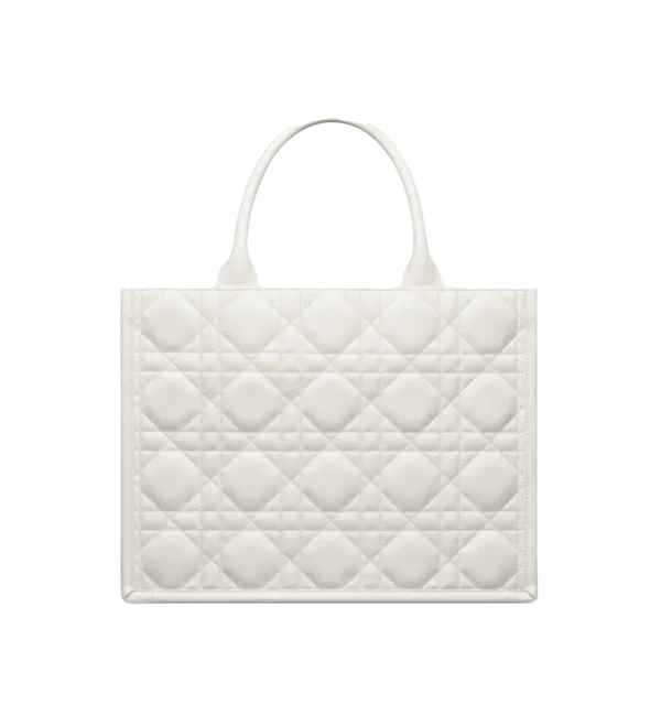 MEDIUM DIOR BOOK TOTE 1