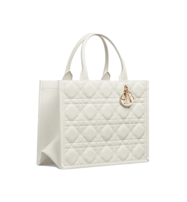 MEDIUM DIOR BOOK TOTE 2