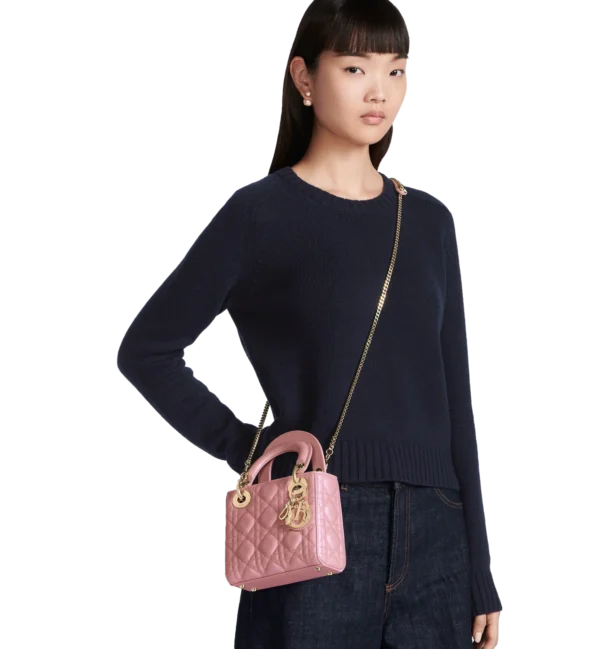 Mini Lady Dior Bag 11