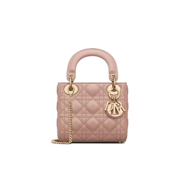 Mini Lady Dior Bag 4