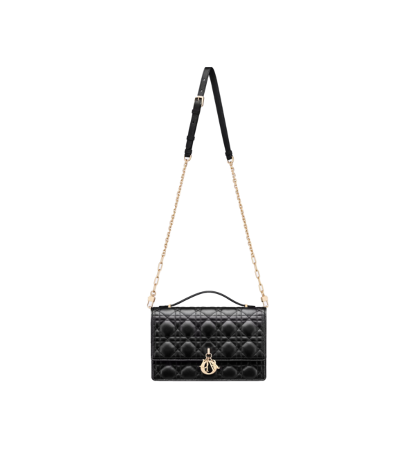 Miss Dior Top Handle Bag 3