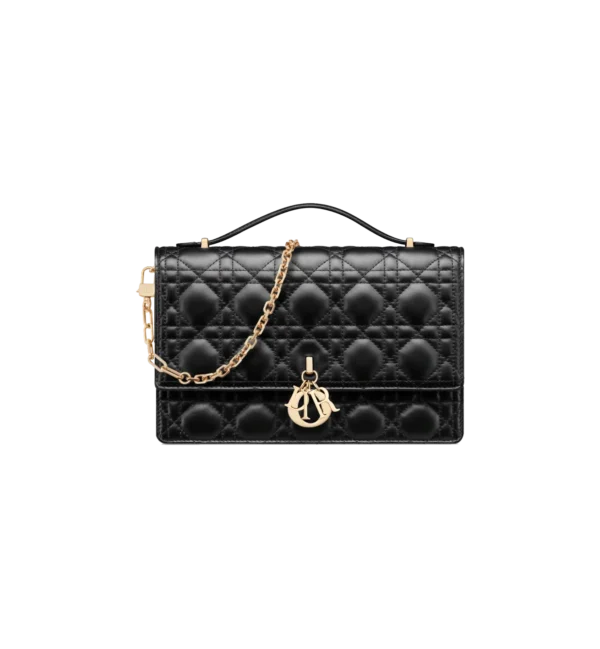 Miss Dior Top Handle Bag