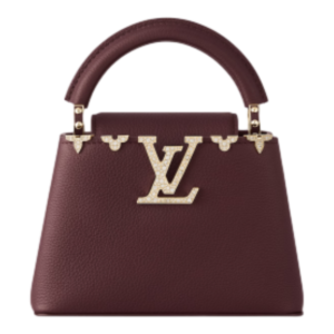 louis vuitton capucines mini capucines handbags M24584 PM2 Front view 看图王